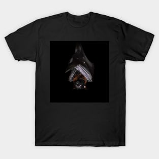 Lyle's flying fox T-Shirt